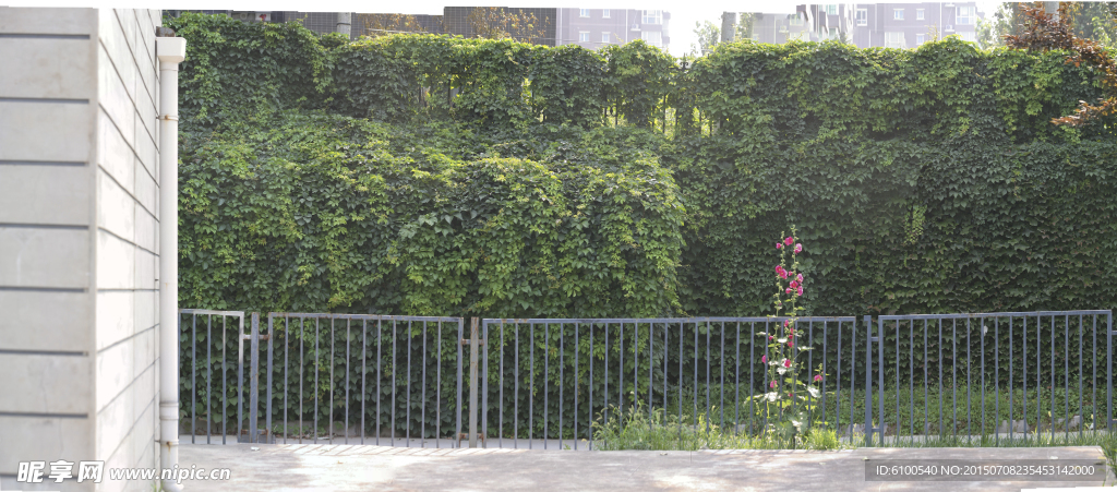 环境 摄影 素材