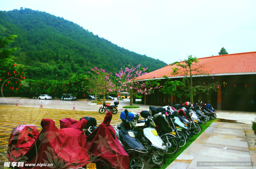 休闲旅游 山花烂漫