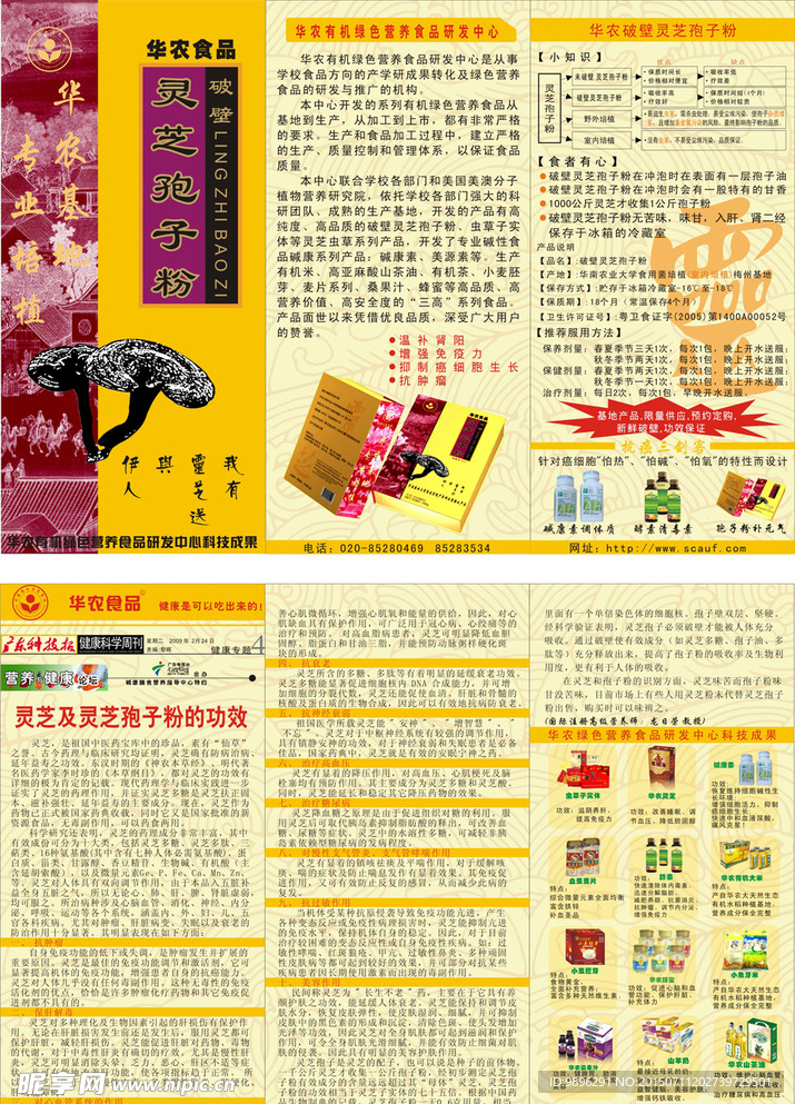 灵芝孢子粉折页传单