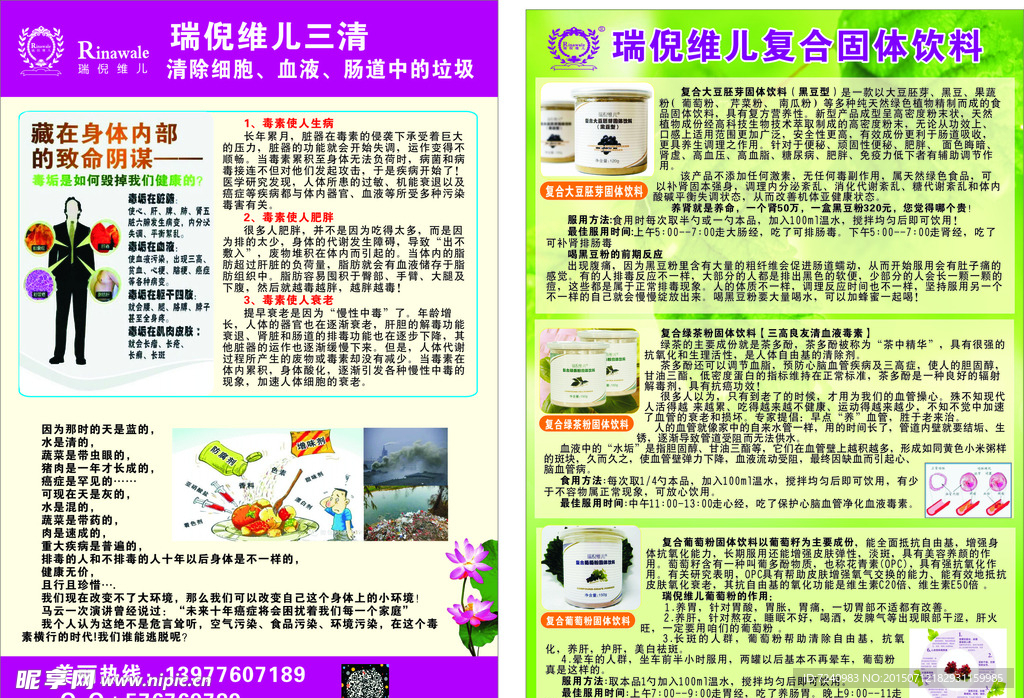 瑞倪维儿宣传单