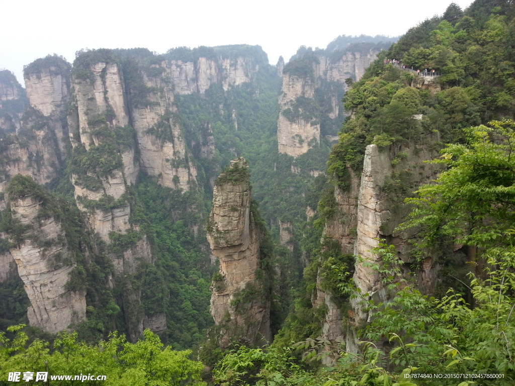 张家界石林 张家界风光 张家界