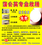 蒲公英专业纹绣