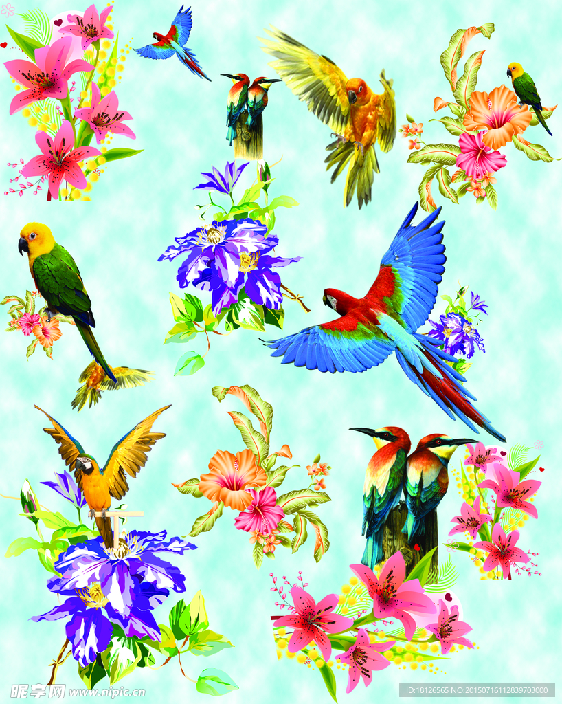 小鸟 花 鹦鹉 花型