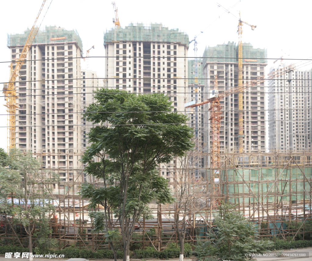 环境 摄影 素材