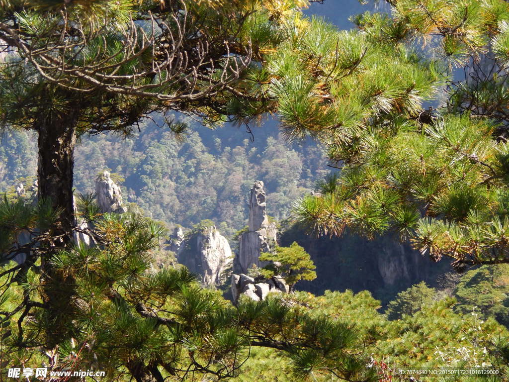 黄山风光 黄山旅游 黄山美景