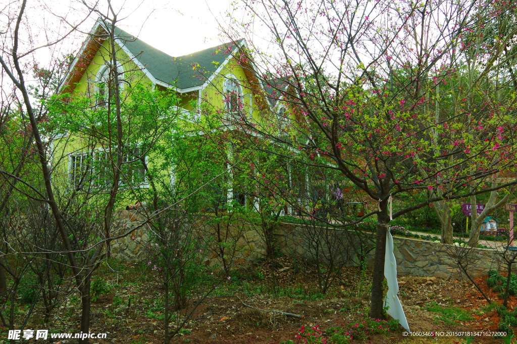 樱花绿林 建筑风光