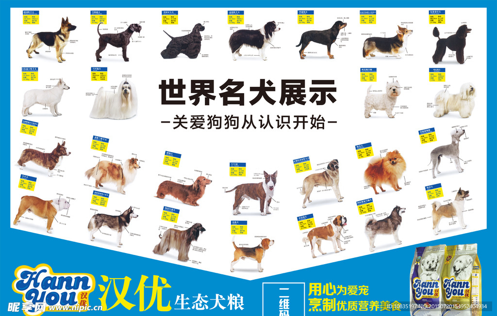 名犬展示图