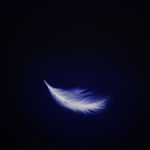 荧光羽毛素材PSD源文件