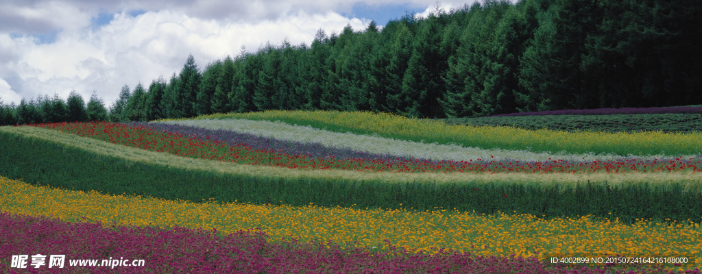巨幅种植花草树木