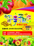 李子采摘海报
