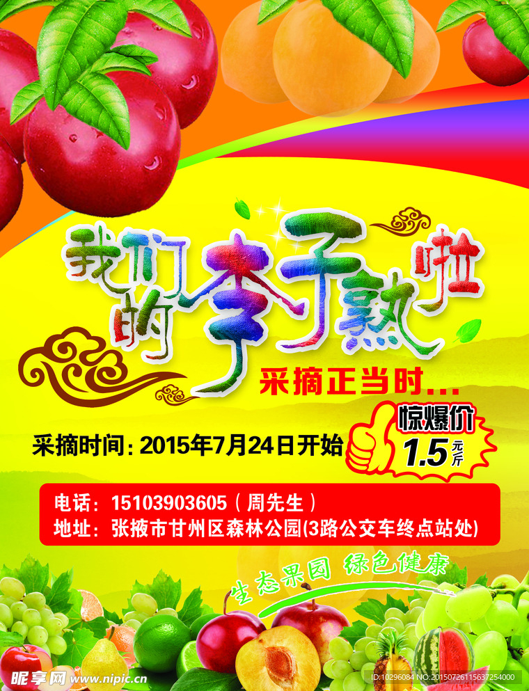 李子采摘海报