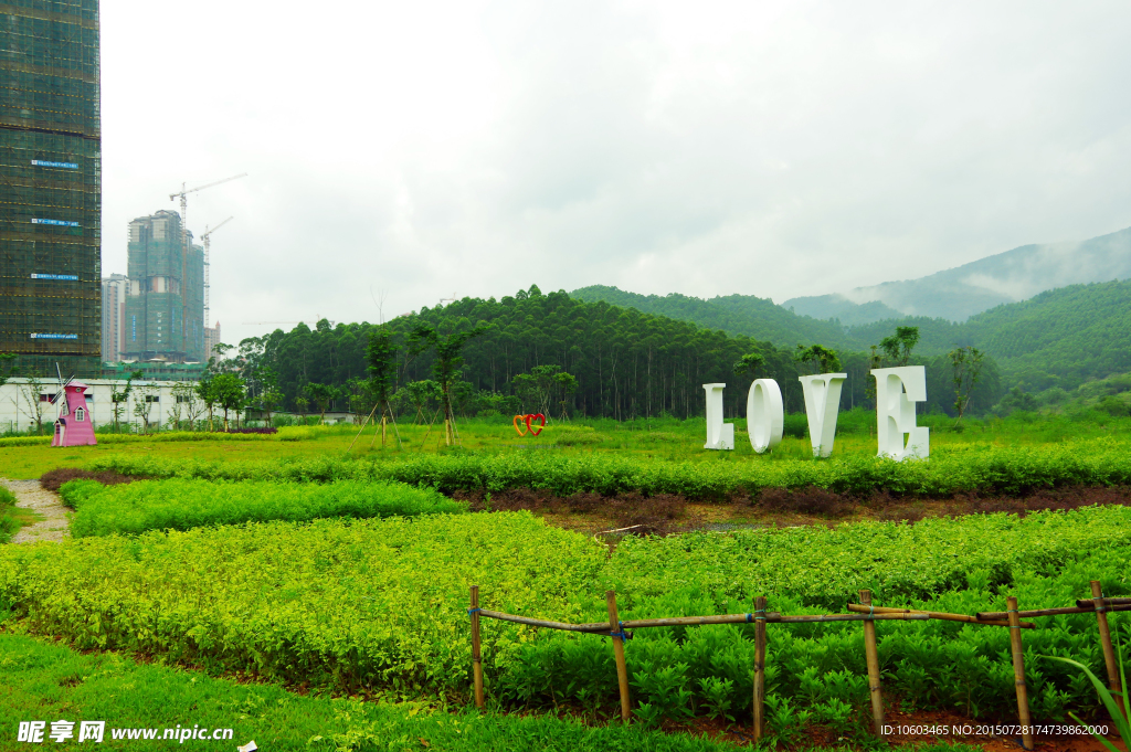 保利生态 七彩花田