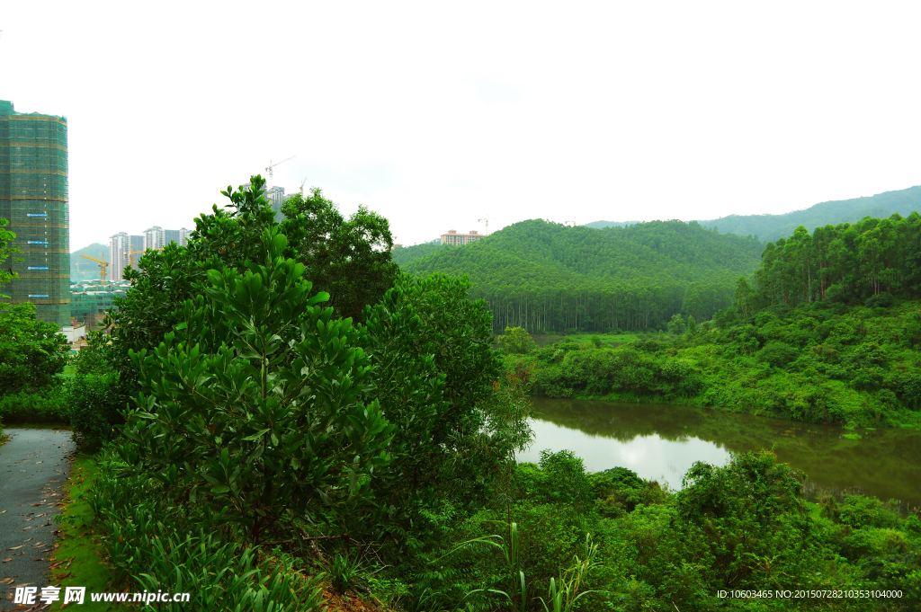 保利生态 森林高楼