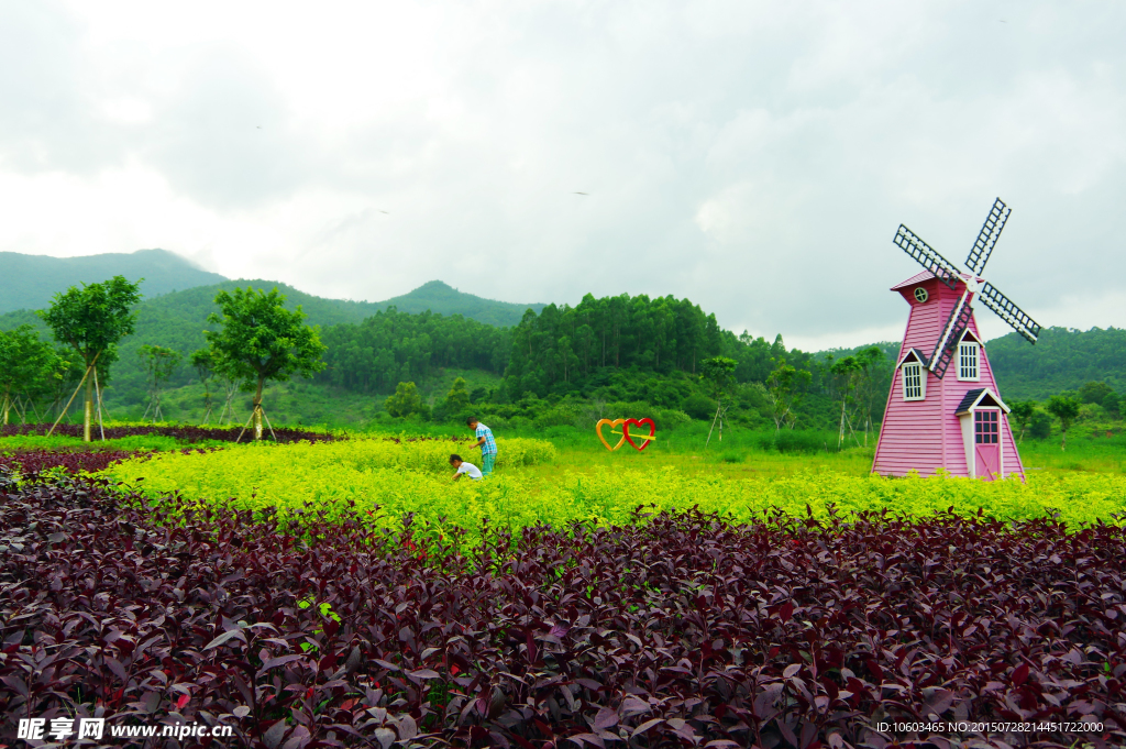 保利生态 七彩花田