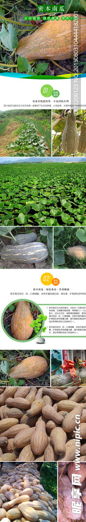 淘宝蔬菜南瓜详情设计