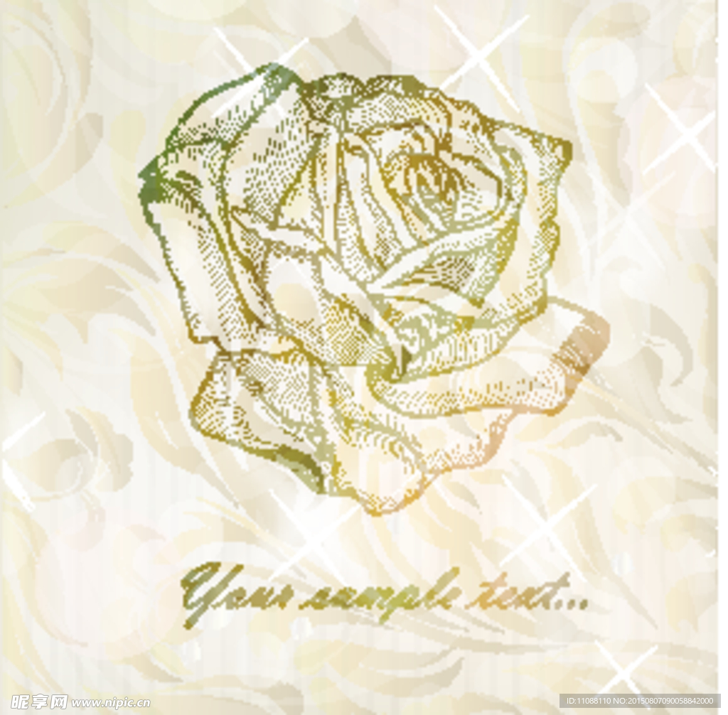 淡雅玫瑰 手绘玫瑰