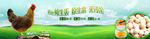 淘宝鸡蛋海报