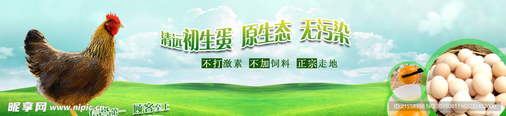 淘宝鸡蛋海报