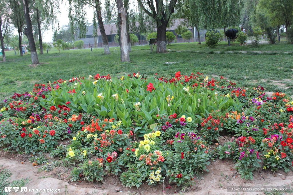 公园花团
