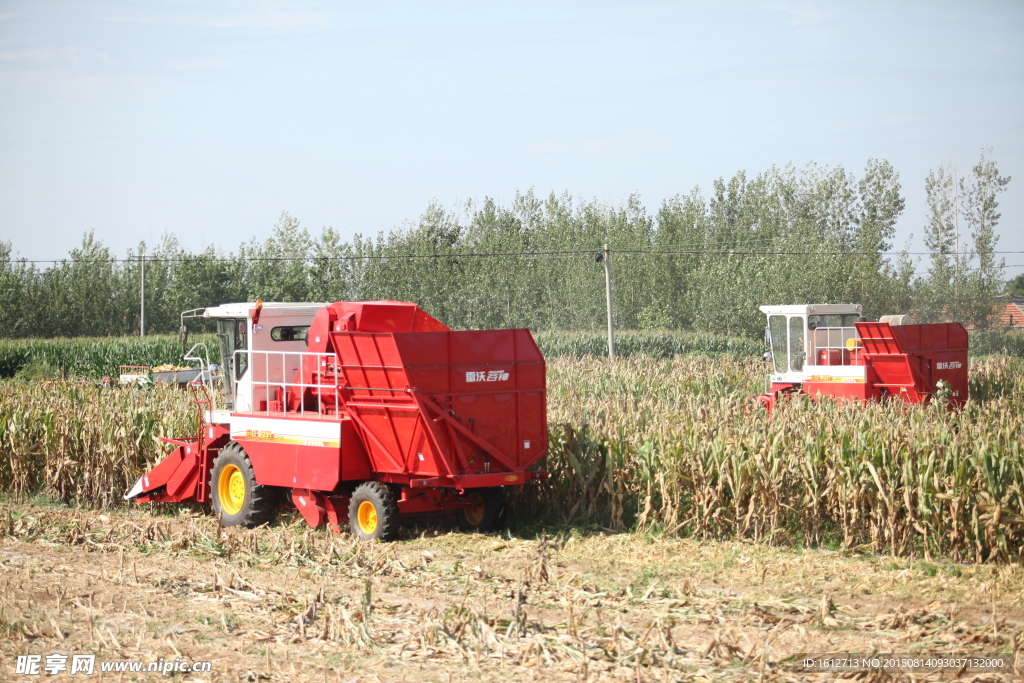 玉米机