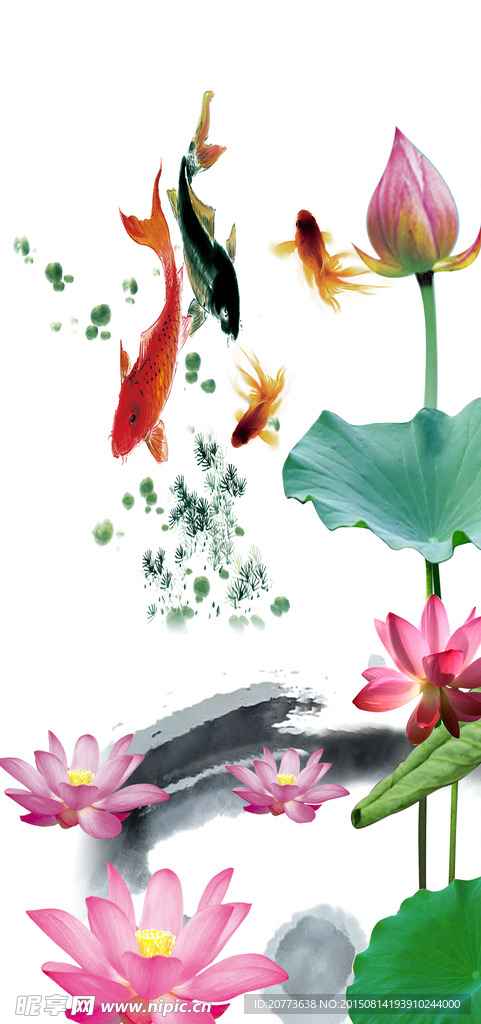 荷花九鱼图玄关