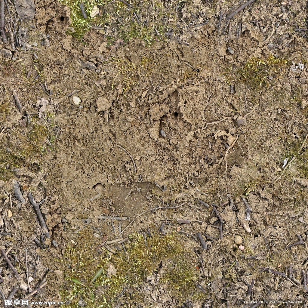 精品地表纹理 地表图像素材