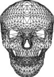 骷髅