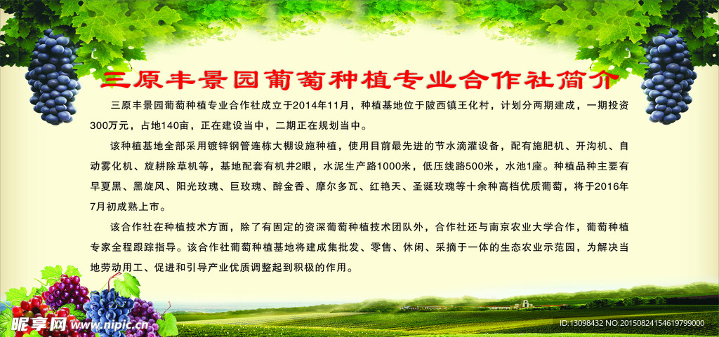 葡萄园简介