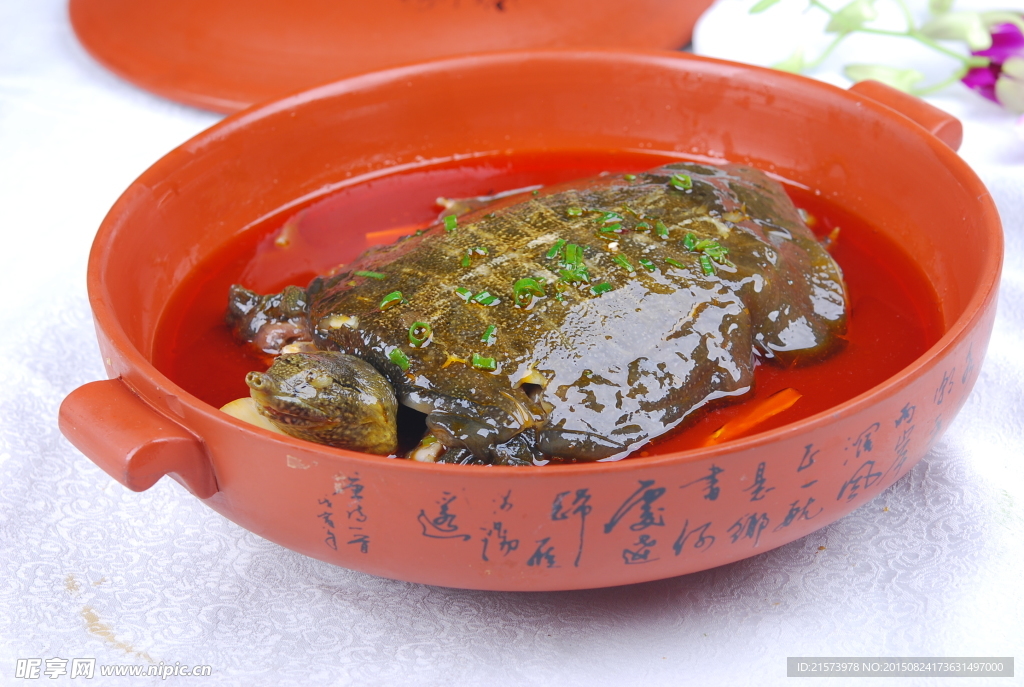 红煨野生甲鱼