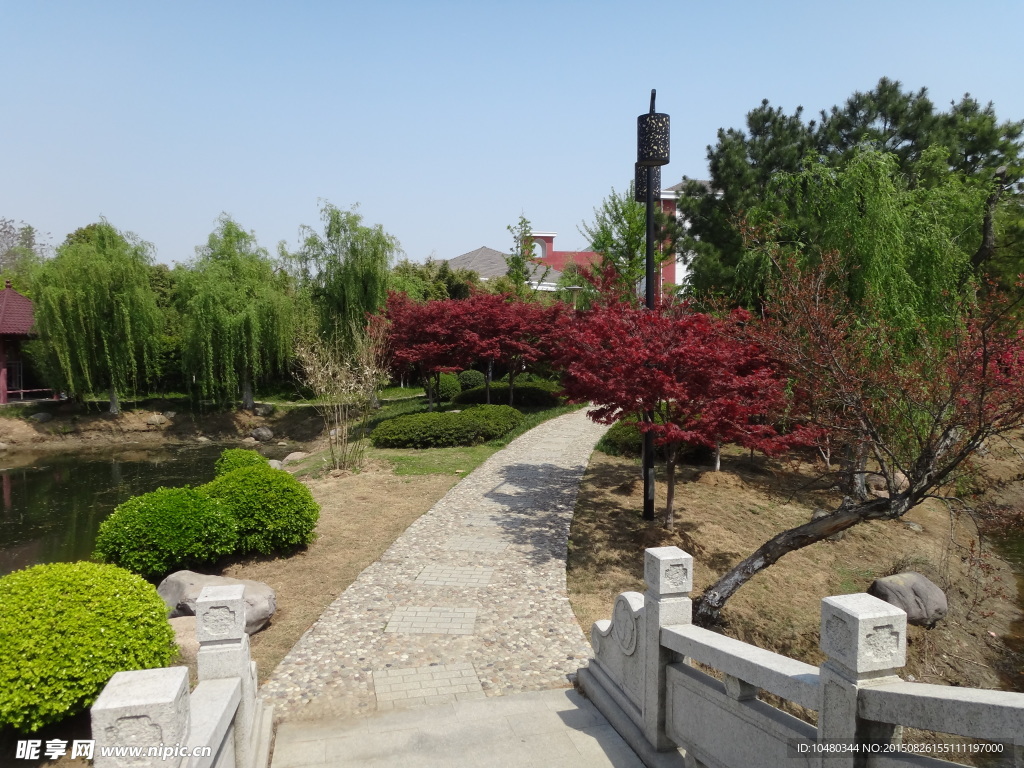 生机盎然的公园游道