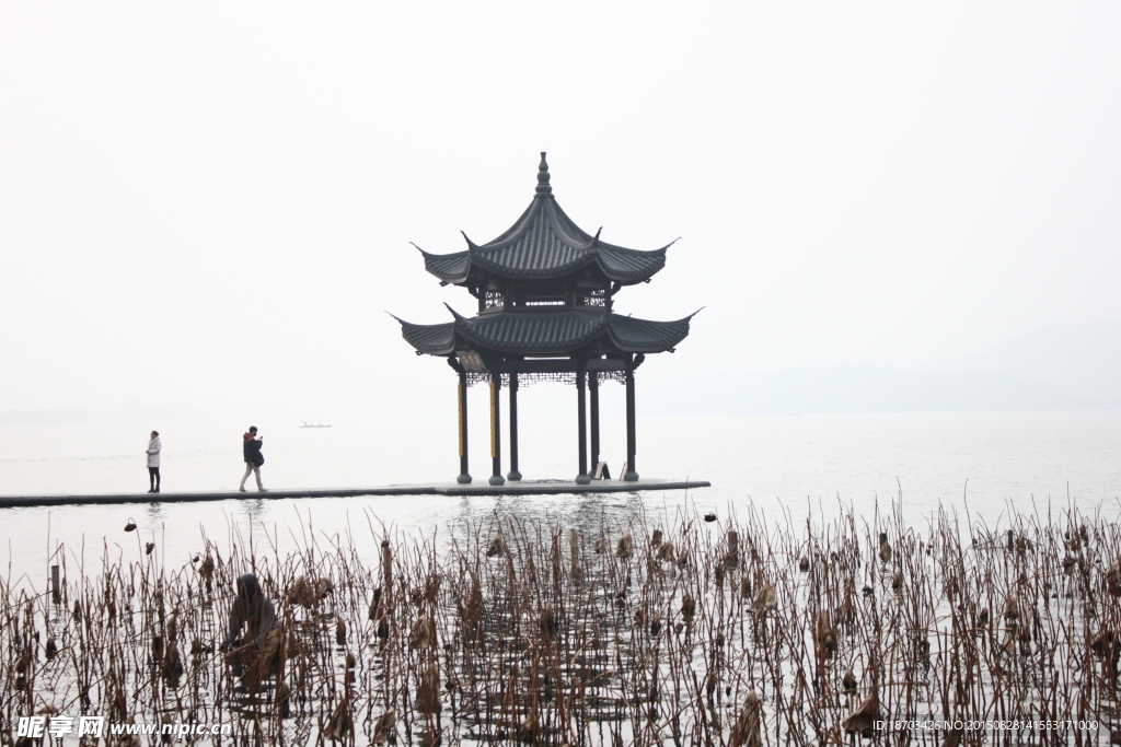 冬天的荷塘 凉亭