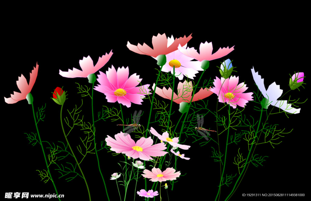 花卉蝴蝶动态视频