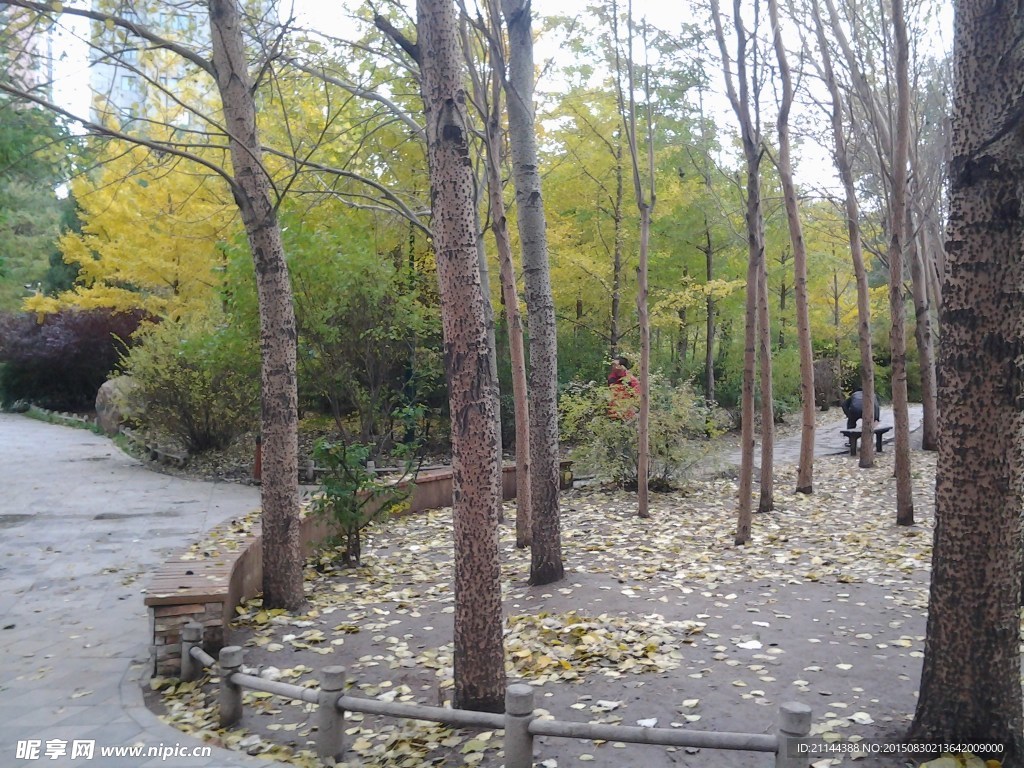 秋日公园