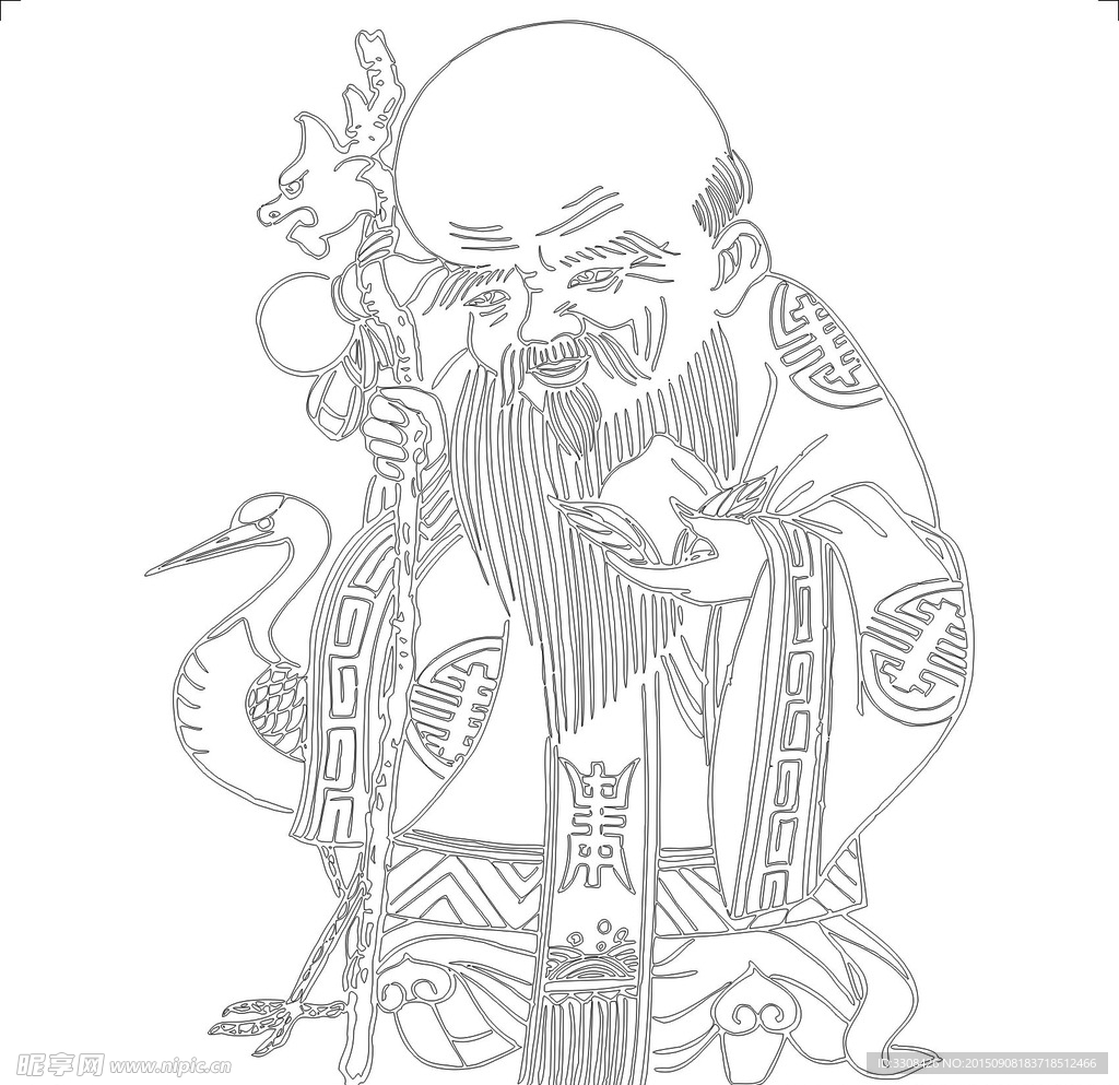 南极仙翁 老寿星