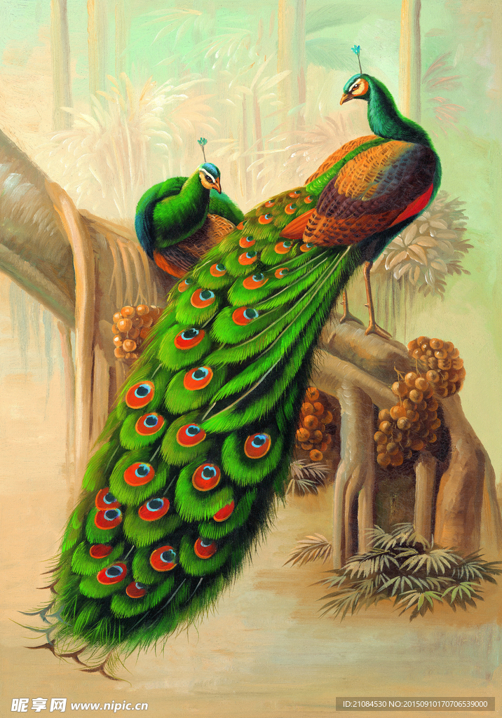 油画 孔雀