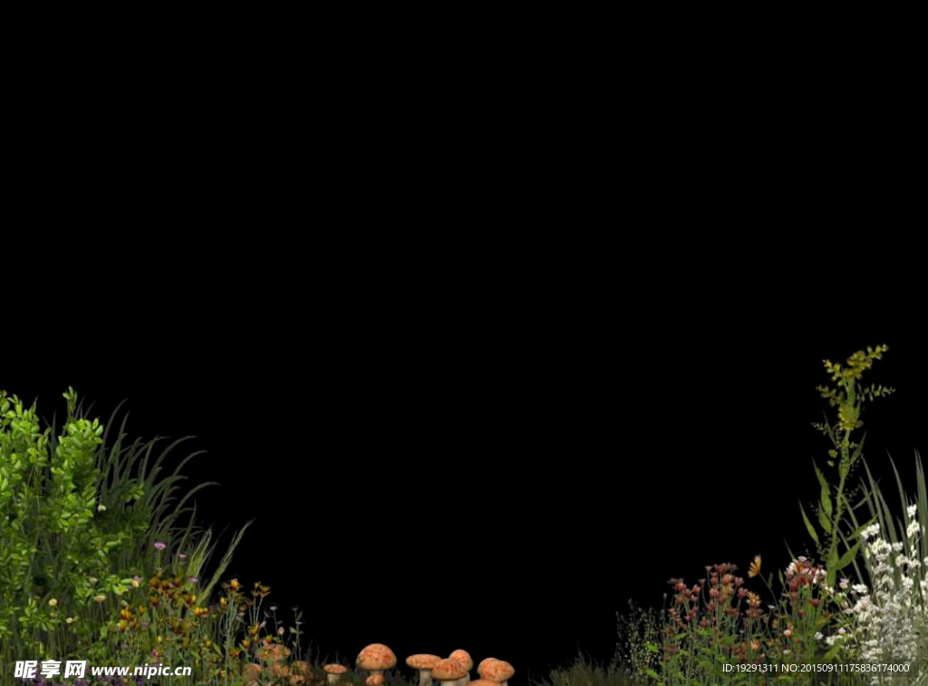 花草蘑菇动态背景视频