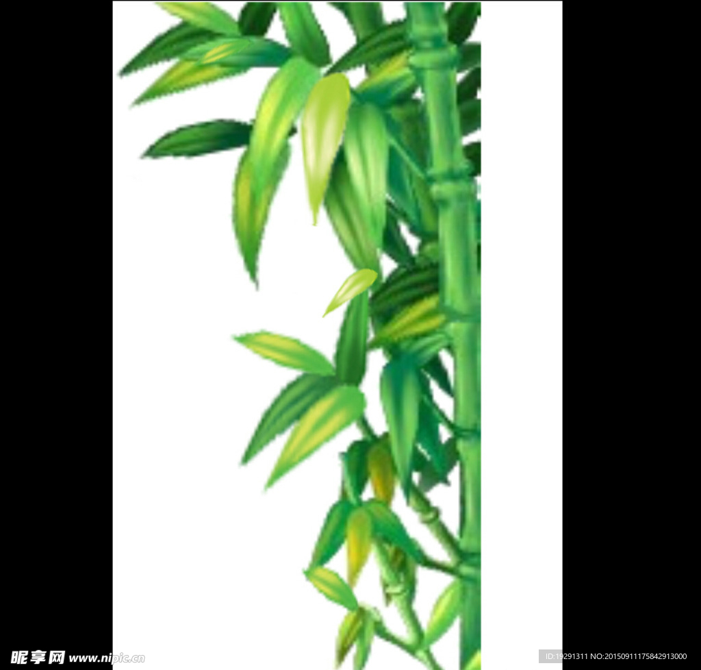 竹子动态背景视频