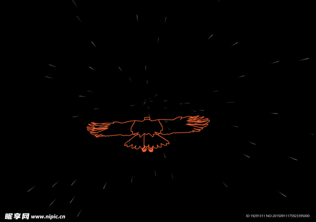 老鹰飞翔动态视频