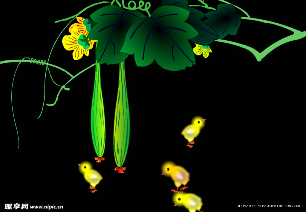 丝瓜小鸟动态视频