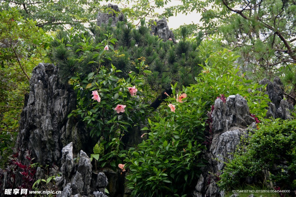 南粤苑 绿意山石