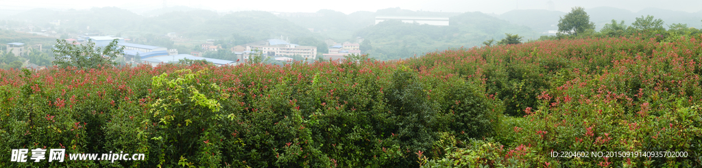 歌乐山顶全景随拍