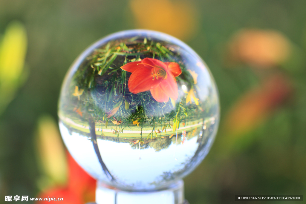 水晶球里的花