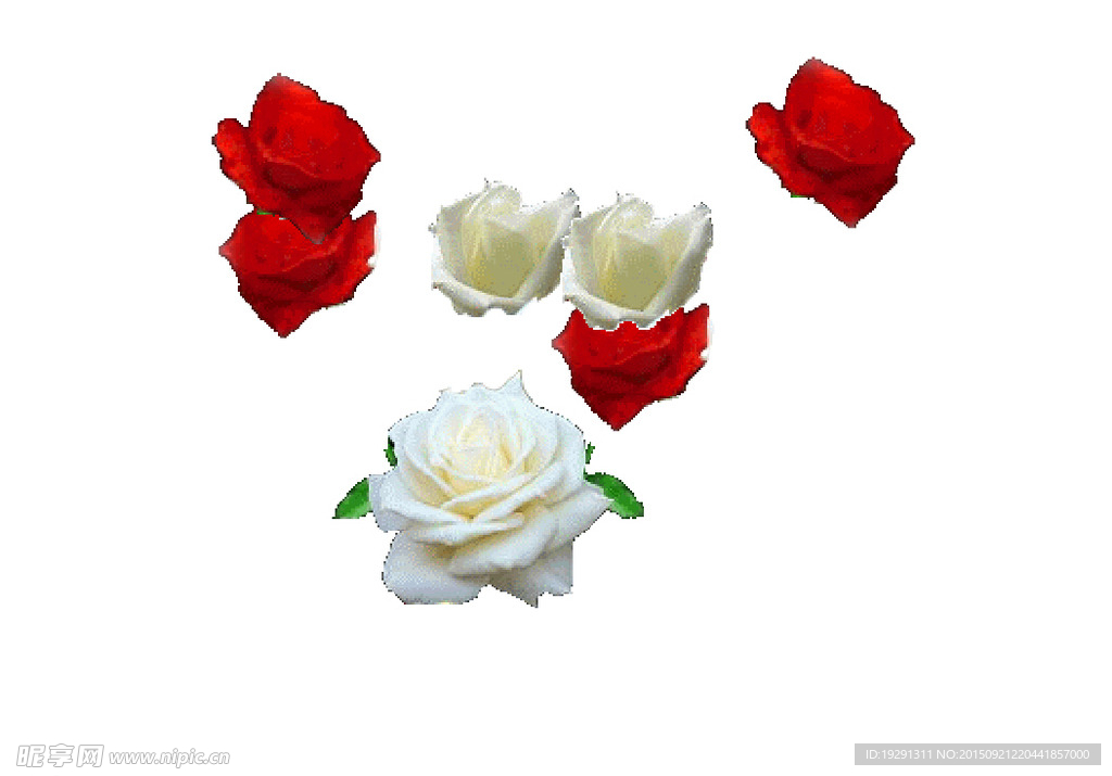 鲜花动态背景视频