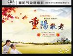重阳节敬老