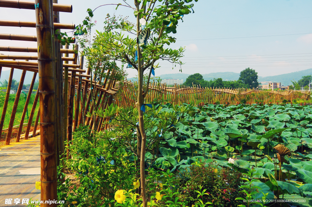 田园长廊 竹架长廊