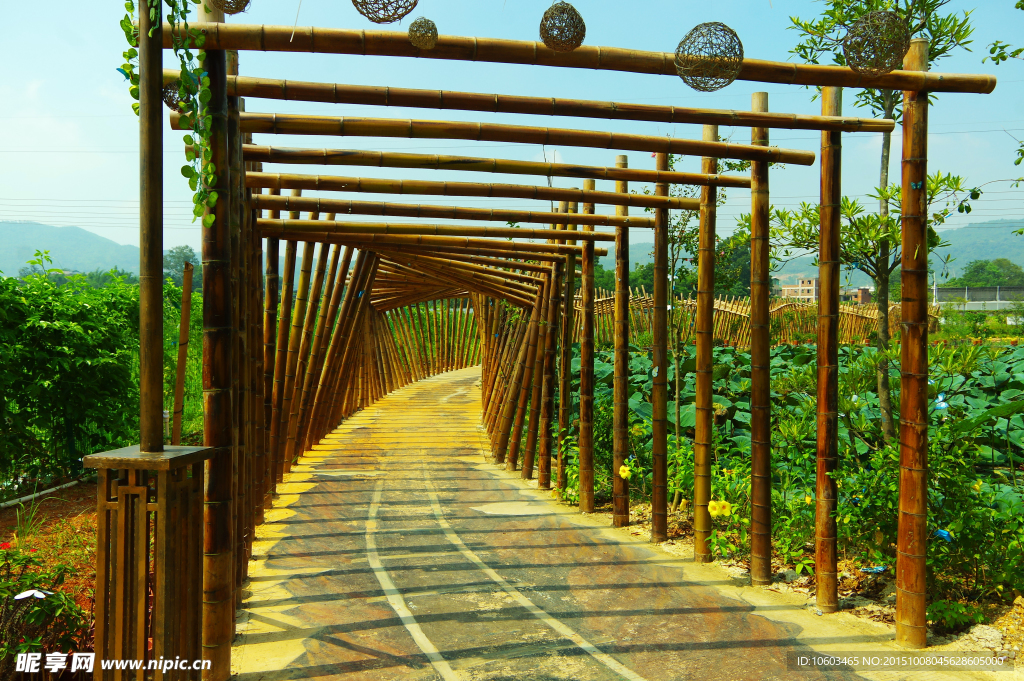 田园长廊 异形竹架