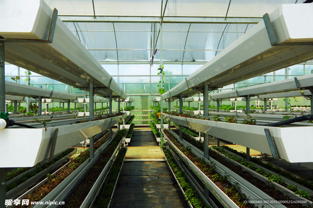 温室高科 槽式盆景