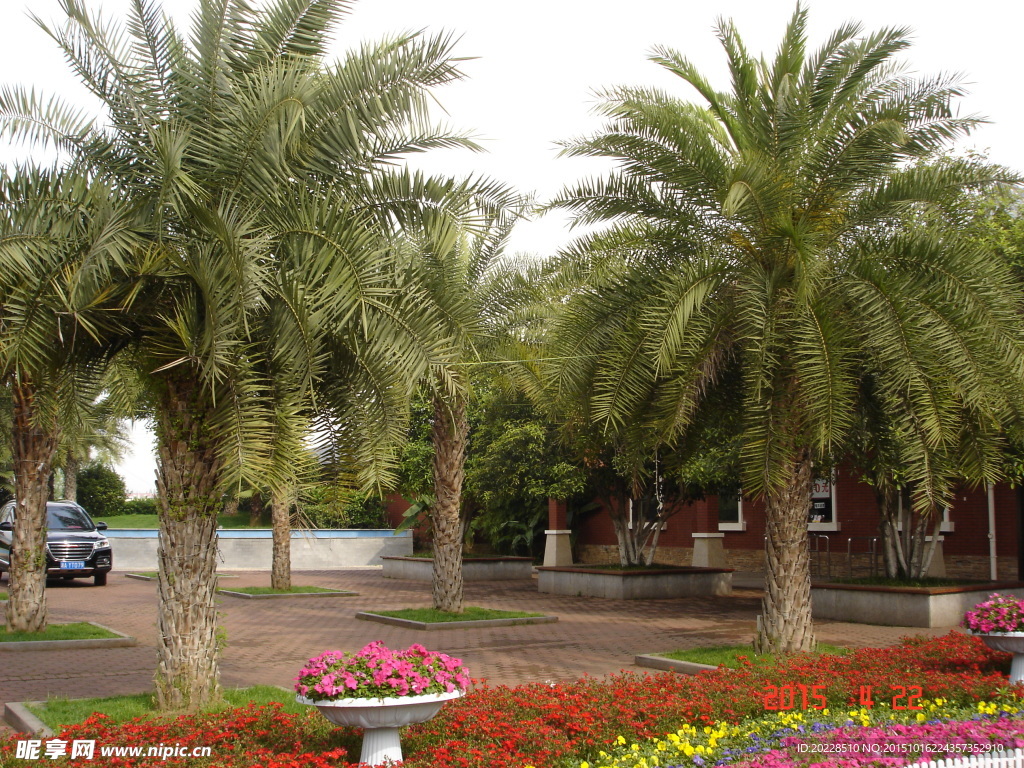 长沙橘子洲风景