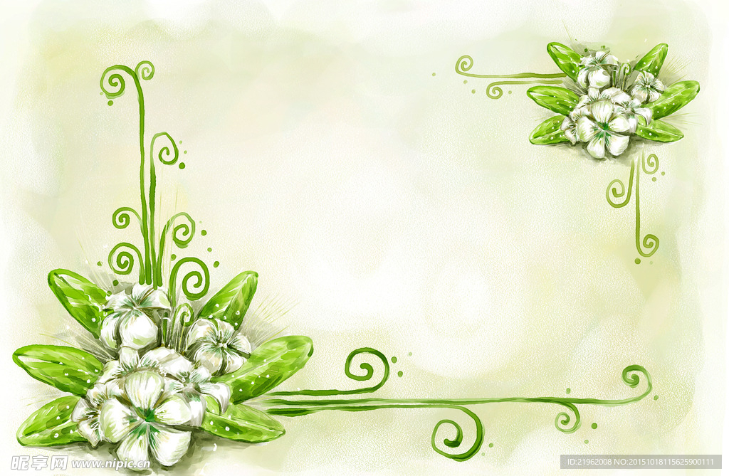 白色小花花束花边背景