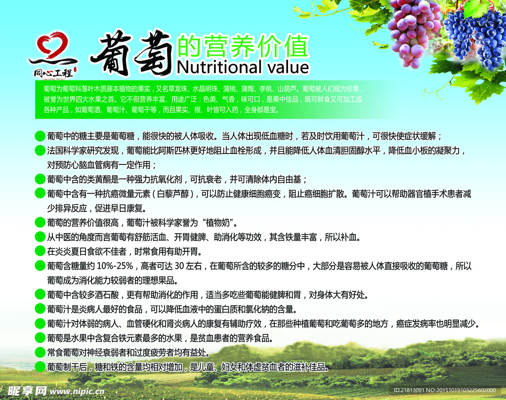 葡萄营养价值